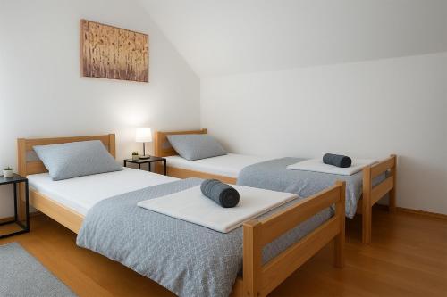 two twin beds in a room with two at Kuća Amazonija in Apatin