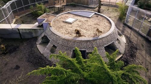 Night experience - Lodge By Zoo Bordeaux Pessac