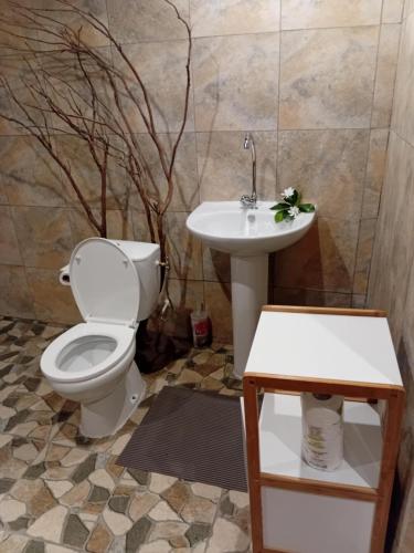 Koupelna v ubytování Tereva home 2