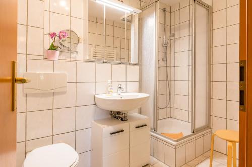 JagdhausにあるJagdhaus Schwinkelsmoorの洗面台とシャワー付きの白いバスルーム