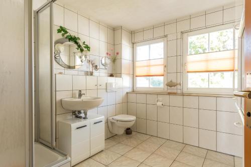 a bathroom with a toilet and a sink and a shower at Jagdhaus Prerowstrom in Jagdhaus