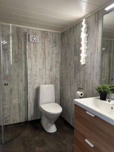 a bathroom with a toilet and a sink at Apartment Senja in Senja