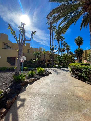 Puertollano by Best Holidays Fuerteventura