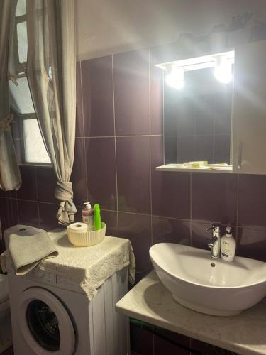 een badkamer met wastafel en wasmachine bij Electra apartment in Thiva