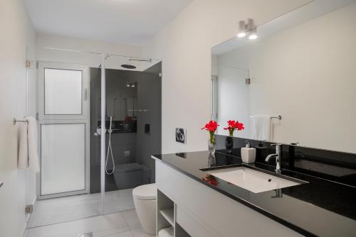 ein Badezimmer mit Waschbecken, Toilette und Dusche in der Unterkunft OurMadeira - Arco Sun in Arco da Calheta