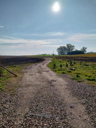 a dirt road in the middle of a field at Dolina dwóch stawów in Piorkowo
