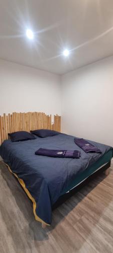 a large bed in a room with two lights at Évasion Relaxante 4 personnes Spa, sauna et calme 