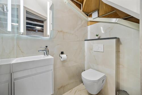 a white bathroom with a toilet and a sink at Villa Istria Mar in Pazin