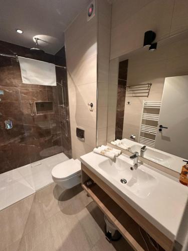 a bathroom with a sink and a toilet and a shower at Alpine Eden Hideaway in Râşnov