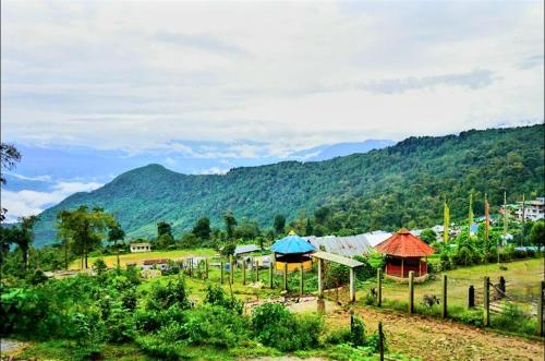 a group of umbrellas in a field with mountains at Brookland Stays in Pedong