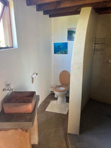 a bathroom with a toilet and a wooden tub at Mdumbi lodge in Ngqeleni
