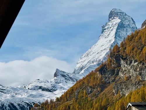 una montaña cubierta de nieve con árboles delante de ella en Peaky Riders Self Check-in Hotel, en Zermatt