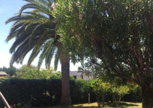 Jardin-Marin-Ajaccio