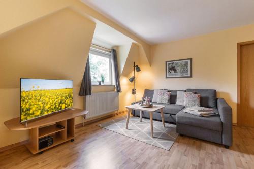 TV a/nebo společenská místnost v ubytování Ferienwohnung 3