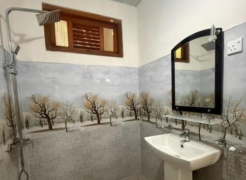 a bathroom with a sink and a mirror at Green Wood Hotel in Ella