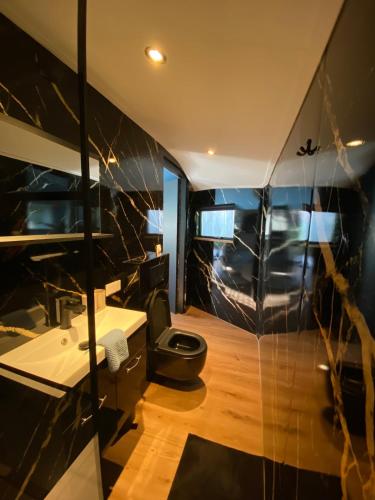 a room with a bathroom with a sink and a toilet at Van Egmond suites Mr Blue Sky in Anna Paulowna