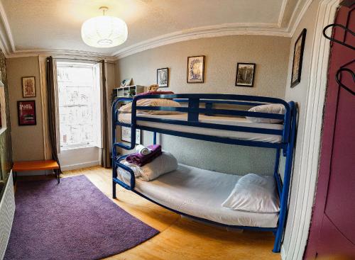 two bunk beds in a room with a purple rug at Vagabonds Hostel in Belfast