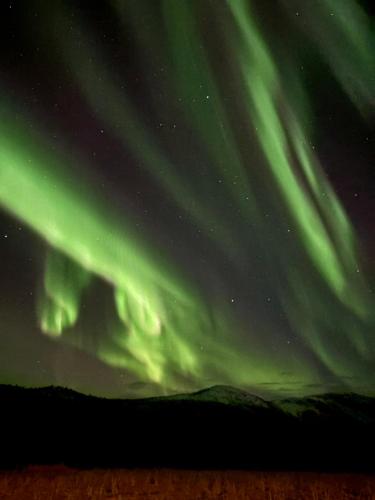 an image of the northern lights in the sky at Apartment in Målselv in Björklid