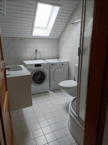 a bathroom with a washing machine and a toilet at Apartment in Düdingen in Düdingen