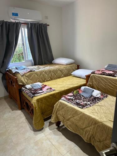 Zimmer mit 4 Betten und einem Fenster in der Unterkunft Aranduroga in Corrientes