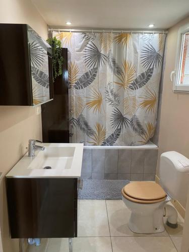 a bathroom with a shower with a sink and a toilet at Calme et nature in Venoy