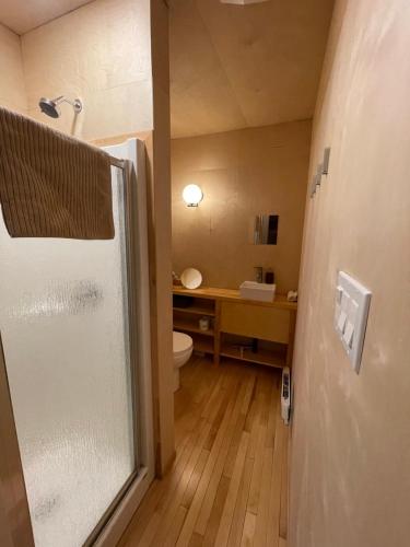 a bathroom with a shower and a toilet at Hébergement Mauricie, La Tuque in La Tuque