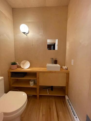 a bathroom with a sink and a toilet at Chalet Mauricie, La Tuque in La Tuque
