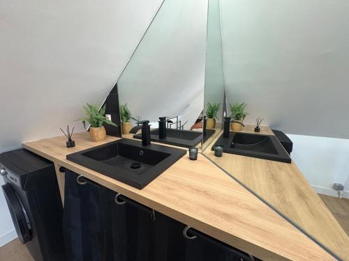 Baño con 2 lavabos y espejo en una encimera en Le Cocon Arras Centre & Netflix 4 pers, en Arras