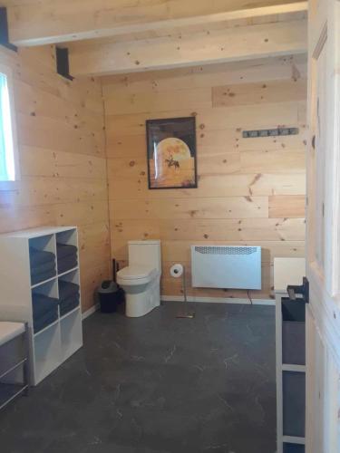 Saint-OnésimeにあるLa Taniere du Renardの木製の壁のバスルーム(トイレ付)