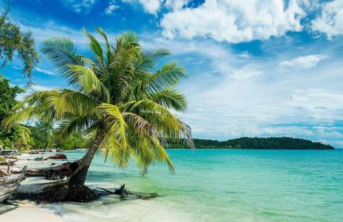 Příroda nedaleko rezortu