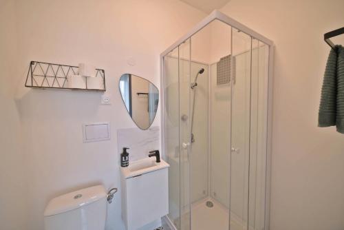 a bathroom with a shower and a toilet and a mirror at Confortable Studio in Mulhouse