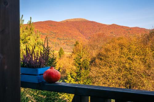 a red apple sitting on a balcony with a view of a mountain at Bieszczadzki Domek z widokiem na połoniny in Wetlina