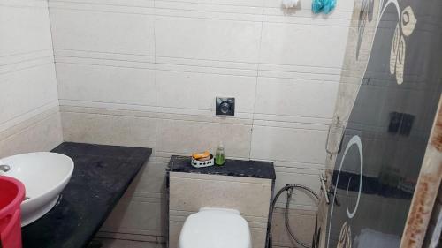 a small bathroom with a toilet and a sink at Elite Home Stay in Raipur