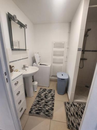 ein weißes Badezimmer mit Waschbecken und Dusche in der Unterkunft Gite de campagne in Restigné