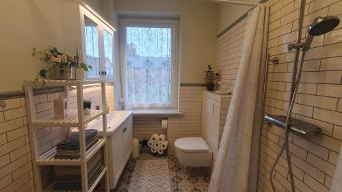 ein Badezimmer mit Waschbecken und Toilette und einem Fenster in der Unterkunft Cozy 2-room apartment in Hohendorf