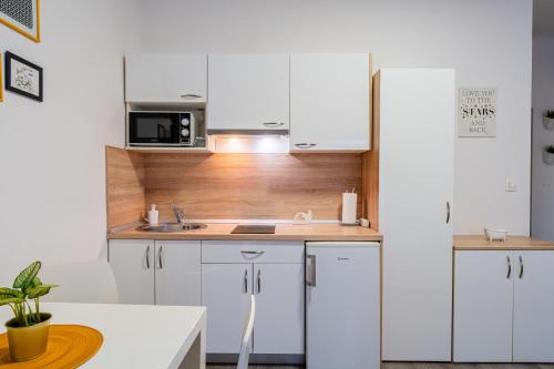 Flex SelfCheckIns 132 - Zagreb - Studio Apartman - Centar