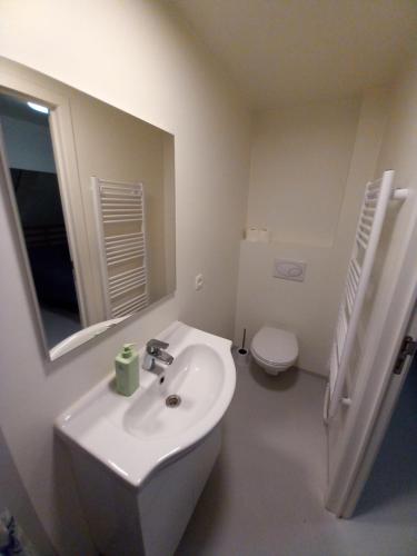 a bathroom with a sink and a mirror and a toilet at Chez Jean-Claude chambre pour 2 personnes in Wavre