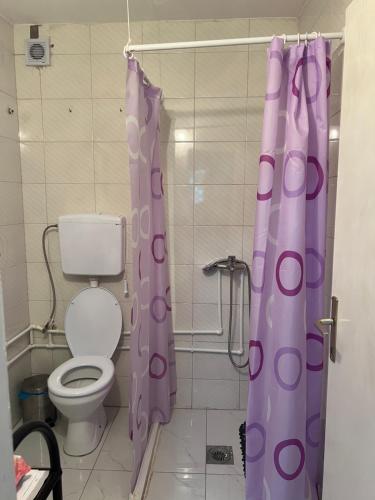 a bathroom with a toilet and a purple shower curtain at Sony Apartman-Private parking is free - Jacuzzi is free in Kolonije