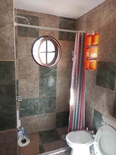 a bathroom with a toilet and a window and a shower at Departamento los lapachos in Villa Allende