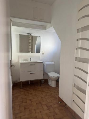 a bathroom with a sink and a toilet at La Petite Maison mitoyenne in Condeissiat