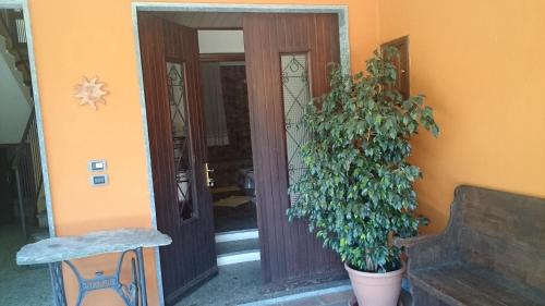 a front door of a house with a potted plant at Casa dei Mulini in Mergozzo