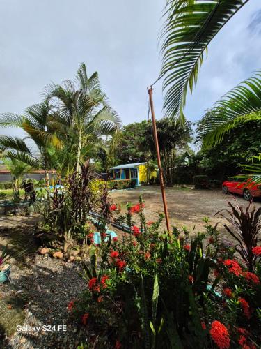 a garden with flowers and palm trees and a house at Hostel yuriel in Uvita