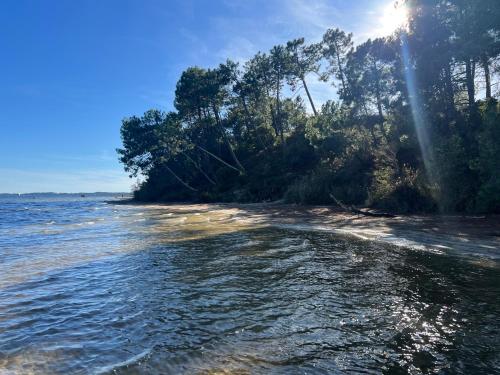 Naturlandskabet i nærheden af lejligheden