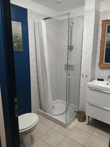 a bathroom with a shower and a toilet at La route des vignes in Val-de-Dagne