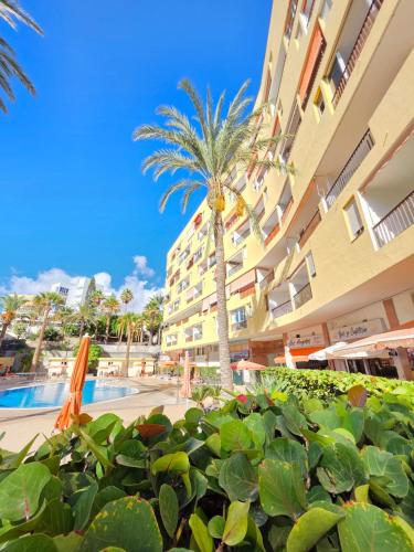 Guayero Los Cristianos sea view
