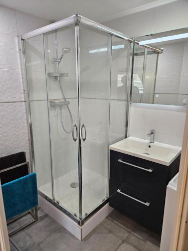 a bathroom with a shower and a sink at Un duplex lumineux in Mer