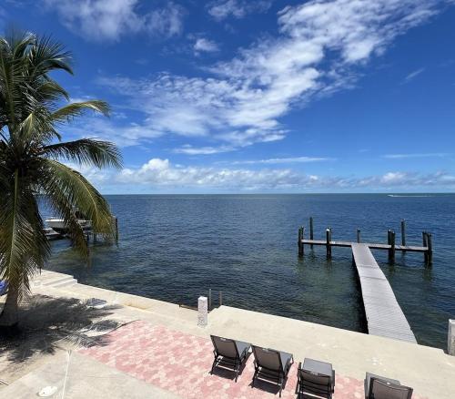 a dock with chairs and a palm tree and the ocean at Tropical Sunsets in Marathon