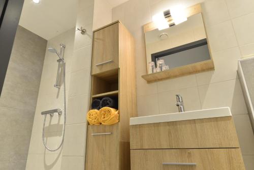 La salle de bains est pourvue d'une douche et d'un lavabo. dans l'établissement Havenzicht Westkant, à Dinteloord