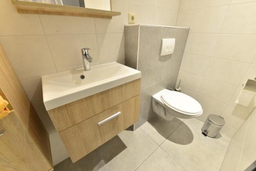 een badkamer met een wastafel en een toilet bij Havenzicht Westkant in Dinteloord