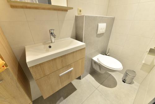 a bathroom with a sink and a toilet at Havenzicht Westkant in Dinteloord